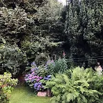 Apartment Wald & Wiesen Im Bergischen Land - Urlaub, Koeln, Messe & Geschaeftsreise Bergisch Gladbach