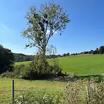 Apartment Wald & Wiesen Im Bergischen Land - Urlaub, Koeln, Messe & Geschaeftsreise *