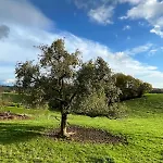 Wald & Wiesen Im Bergischen Land - Urlaub, Koeln, Messe & Geschaeftsreise Bergisch Gladbach