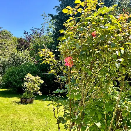 Wald & Wiesen Im Bergischen Land - Urlaub, Koeln, Messe & Geschaeftsreise * Bergisch Gladbach