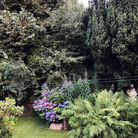 Apartment Wald & Wiesen Im Bergischen Land - Urlaub, Koeln, Messe & Geschaeftsreise Bergisch Gladbach