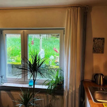 Wald & Wiesen, Ruhiges Im Gruenen Nahe Koeln Und Apartmán *