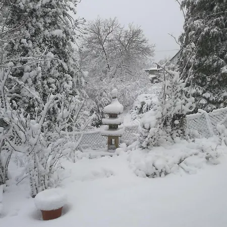 Wald & Wiesen Im Bergischen Land - Urlaub, Koeln, Messe & Geschaeftsreise Lejlighed *
