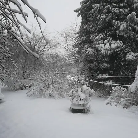 Lejlighed Wald & Wiesen Im Bergischen Land - Urlaub, Koeln, Messe & Geschaeftsreise Bergisch Gladbach