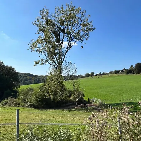 Appartement Wald & Wiesen, Ruhiges Im Gruenen Nahe Koeln Und *