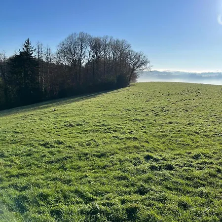 Wald & Wiesen, Ruhiges Im Gruenen Nahe Koeln Und Bergisch Gladbach