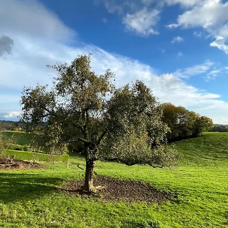 Wald & Wiesen, Ruhiges Im Gruenen Nahe Koeln Und Bergisch Gladbach