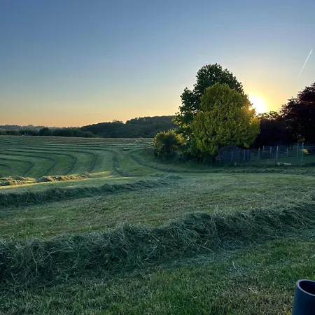 Wald & Wiesen, Ruhiges Im Gruenen Nahe Koeln Und *