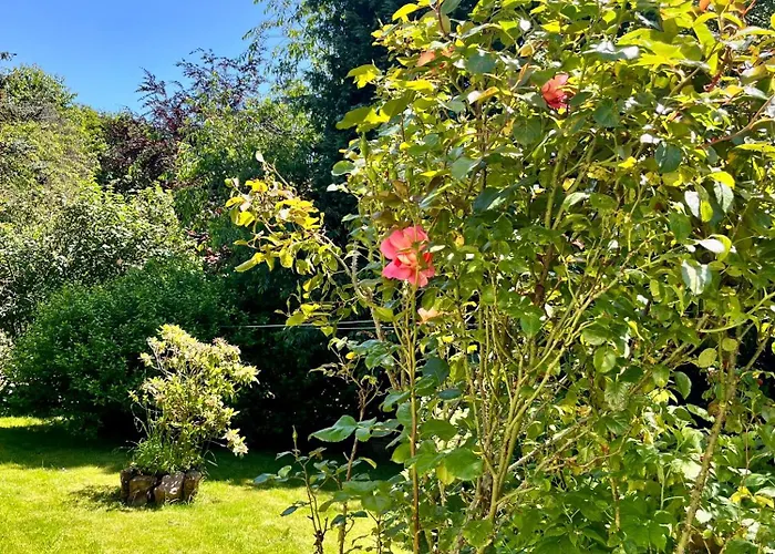 Wald & Wiesen Im Bergischen Land - Urlaub, Koeln, Messe & Geschaeftsreise * Bergisch Gladbach