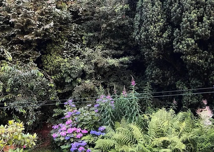 Lägenhet Wald & Wiesen Im Bergischen Land - Urlaub, Koeln, Messe & Geschaeftsreise Bergisch Gladbach