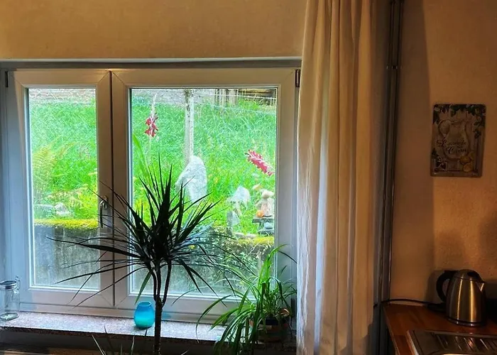 Wald & Wiesen Im Bergischen Land - Urlaub, Koeln, Messe & Geschaeftsreise Lejlighed *