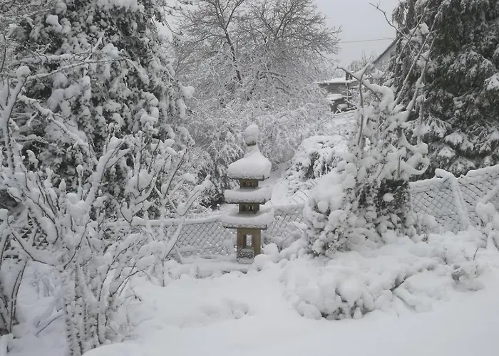 Wald & Wiesen Im Bergischen Land - Urlaub, Koeln, Messe & Geschaeftsreise Lägenhet *
