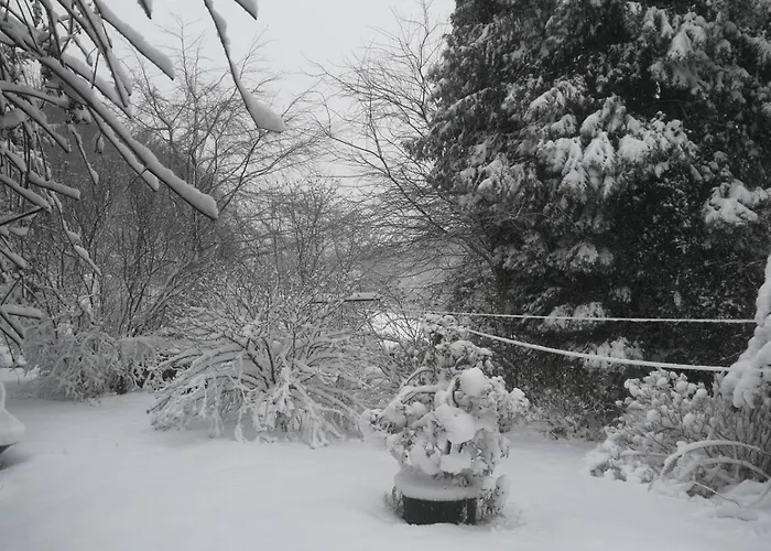 Lejlighed Wald & Wiesen Im Bergischen Land - Urlaub, Koeln, Messe & Geschaeftsreise Bergisch Gladbach