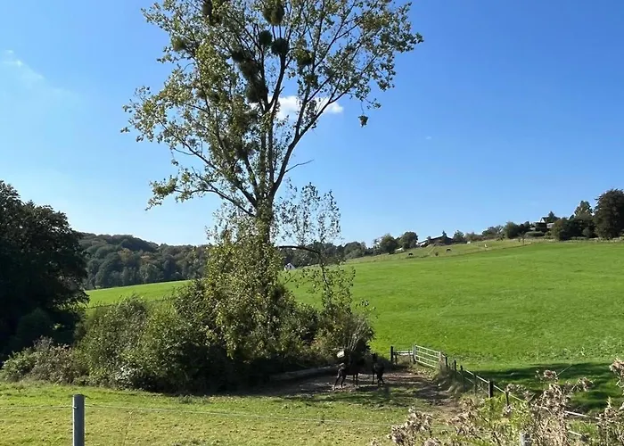 Appartement Wald & Wiesen Im Bergischen Land - Urlaub, Koeln, Messe & Geschaeftsreise *