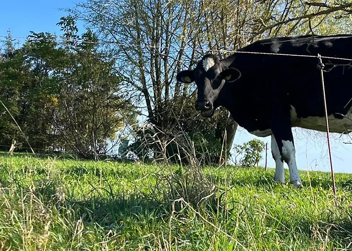 Wald & Wiesen Im Bergischen Land - Urlaub, Koeln, Messe & Geschaeftsreise Lägenhet