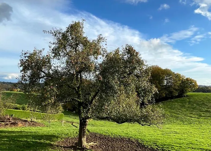 Wald & Wiesen Im Bergischen Land - Urlaub, Koeln, Messe & Geschaeftsreise Bergisch Gladbach