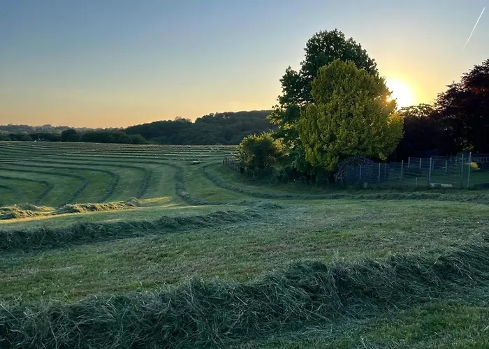 Wald & Wiesen Im Bergischen Land - Urlaub, Koeln, Messe & Geschaeftsreise *